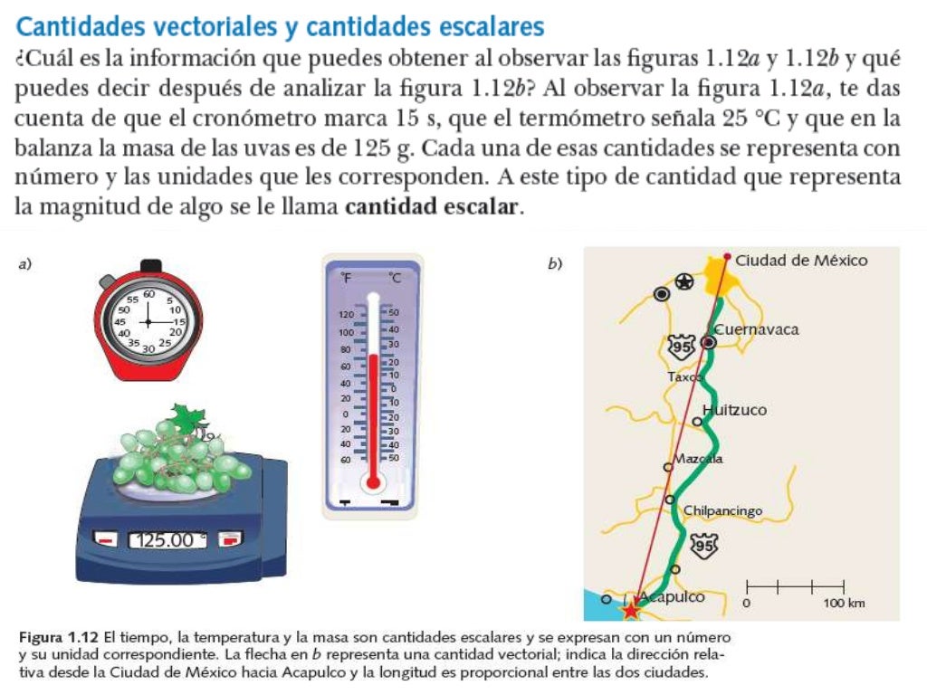 Magnitudes escalares y magnitudes vectoriales