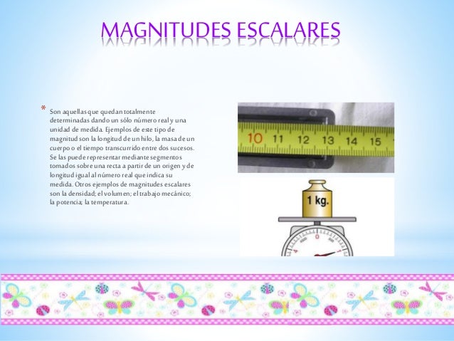 Magnitudes escalares y vectoriales