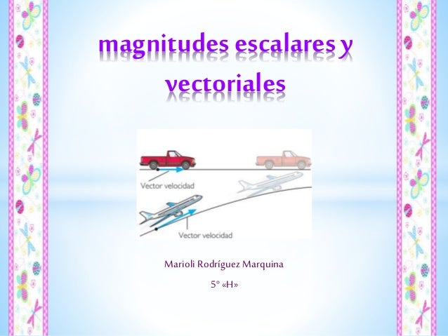 Magnitudes escalares y vectoriales