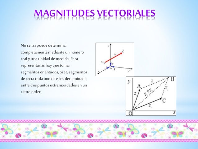 Magnitudes escalares y vectoriales