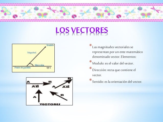Magnitudes escalares y vectoriales