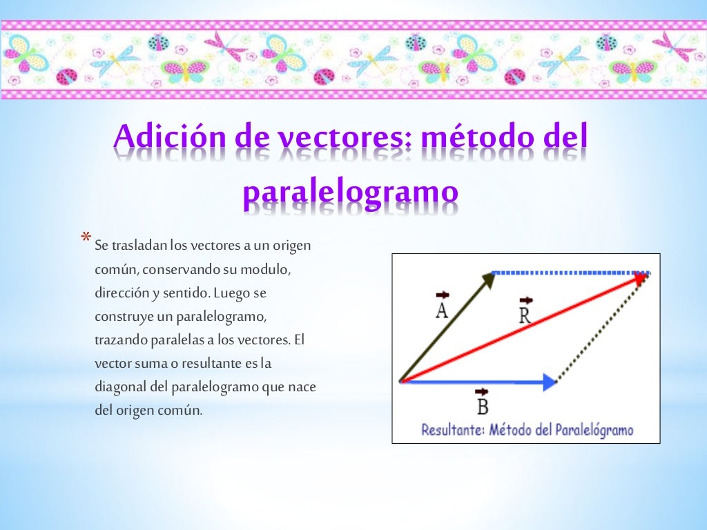 Magnitudes escalares y vectoriales