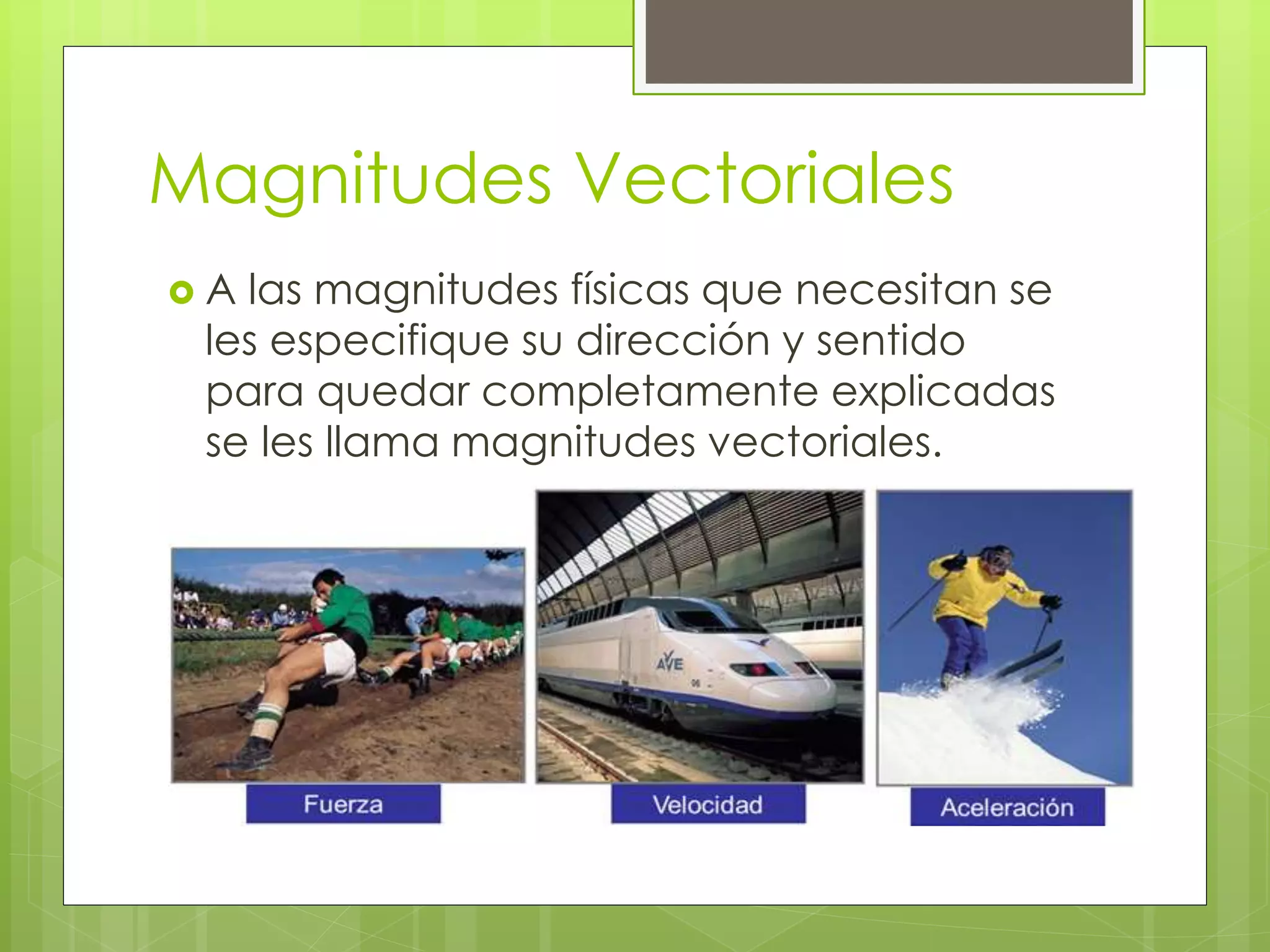 Magnitudes vectoriales | PPTX