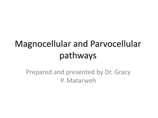 Magnocellular and Parvocellular
pathways
Prepared and presented by Dr. Gracy
P. Matarweh
 