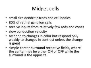 Magnocellular and Parvocellular pathways1.pptx