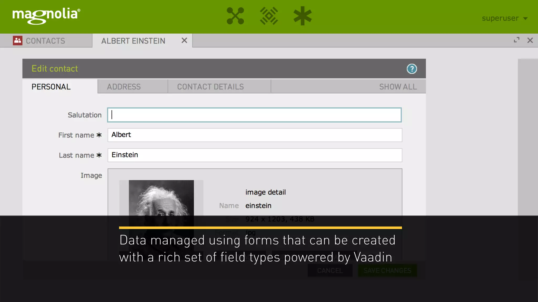 Data managed using forms that can be created
with a rich set of field types powered by Vaadin
 