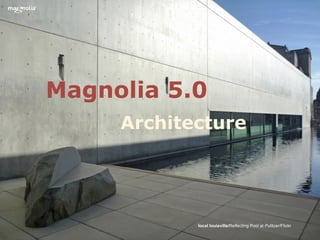 Magnolia 5.0
     Architecture




            local louisville/Reflecting Pool at Pulitzer/Flickr
 