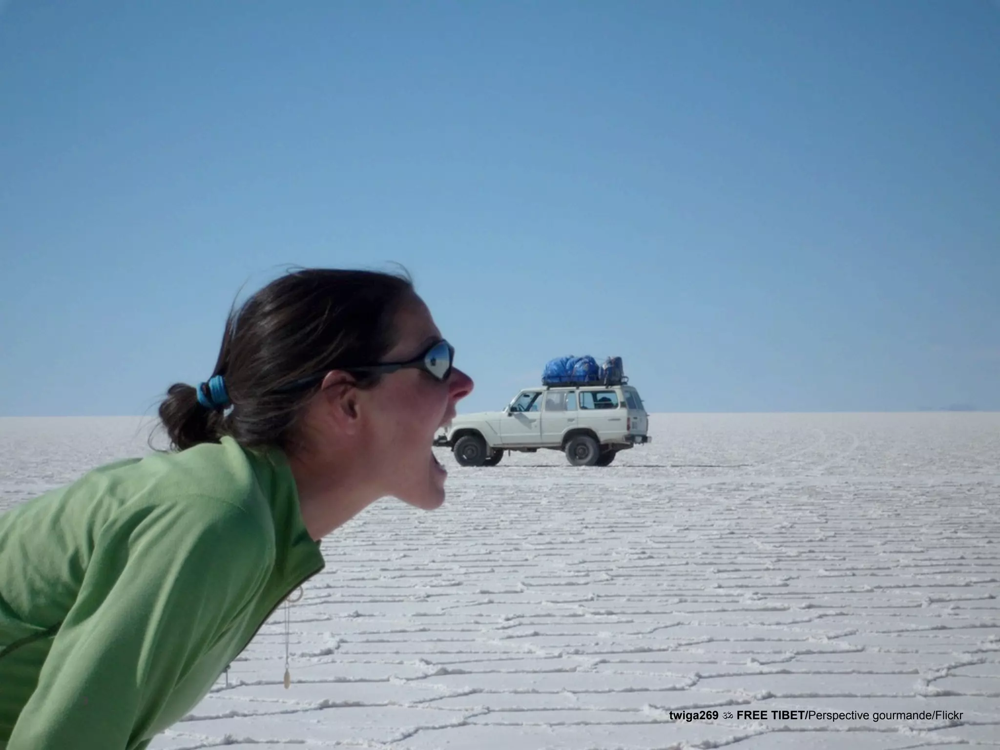 3
              Magnolia is a registered trademark used by permission   twiga269 ॐ FREE TIBET/Perspective gourmande/Flickr
Version 1.0
 