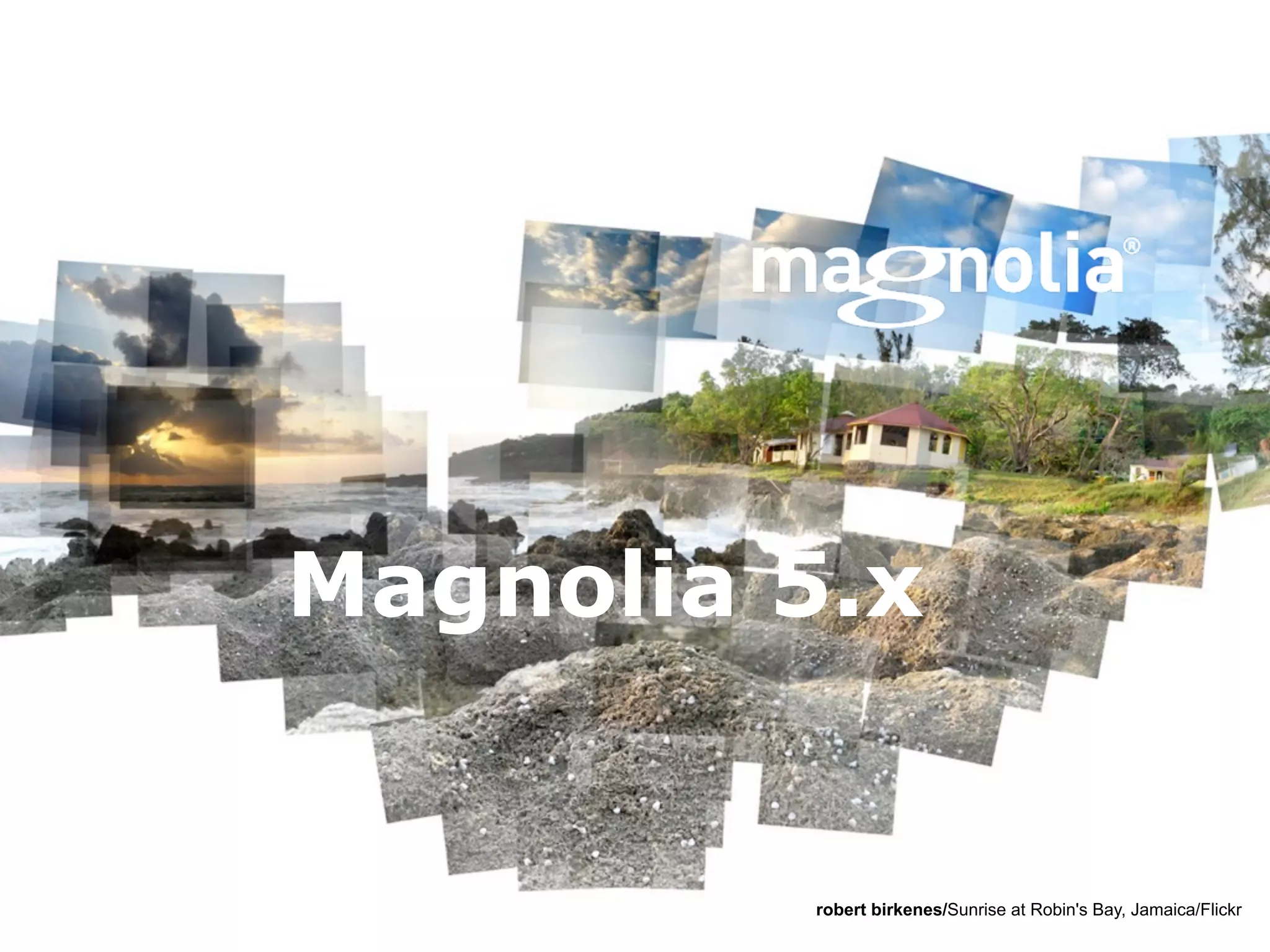 Magnolia 5.x


         robert birkenes/Sunrise at Robin's Bay, Jamaica/Flickr
 