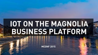 IOT ON THE MAGNOLIA
BUSINESS PLATFORM
MCONF 2015
Photo Credit: Tambako The Jaguar
 