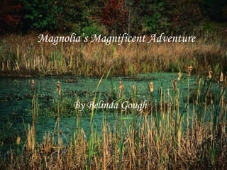 Magnolia’s Magnificent Adventure   By Belinda Gough 