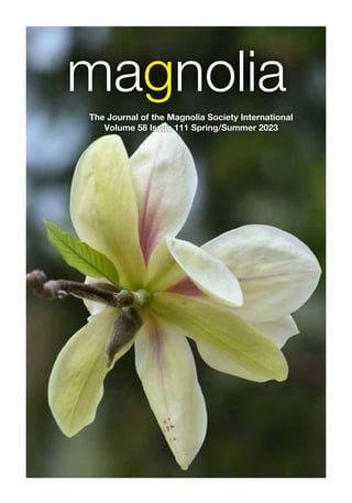 magnolia
The Journal of the Magnolia Society International
Volume 58 Issue 111 Spring/Summer 2023
 