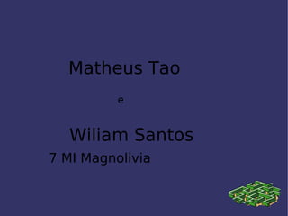 Matheus Tao  e Wiliam Santos  7 MI Magnolivia 