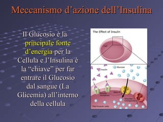 Meccanismo d’azione dell’Insulina
Il Glucosio è la
principale fonte
d’energia per la
Cellula e l’Insulina è
la “chiave” per far
entrare il Glucosio
dal sangue (La
Glicemia) all’interno
della cellula

 