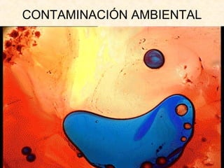 CONTAMINACIÓN AMBIENTAL
 