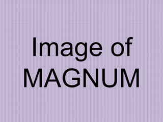 Image of
MAGNUM
 