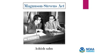 Magnuson-Stevens Act
Ashish sahu
 