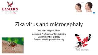 Zika virus and microcephaly
Krisztian Magori, Ph.D.
Assistant Professor of Biostatistics
Department of Biology
Eastern Washington University
 