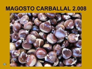 MAGOSTO CARBALLAL 2.008 