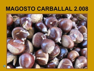 MAGOSTO CARBALLAL 2.008 