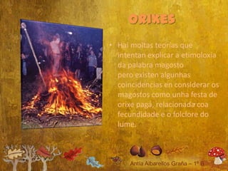 • Hai moitas teorías que
  intentan explicar a etimoloxía
  da palabra magosto
  pero existen algunhas
  coincidencias en considerar os
  magostos como unha festa de
  orixe pagá, relacionada coa
  fecundidade e o folclore do
  lume.
 