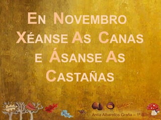EN NOVEMBRO
XÉANSE AS CANAS
  E ÁSANSE AS
   CASTAÑAS
 