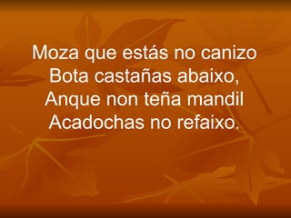 Moza que estás no canizo Bota castañas abaixo, Anque non teña mandil Acadochas no refaixo . 