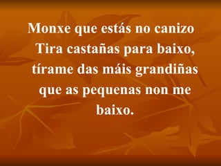 Monxe que estás no canizo Tira castañas para baixo, tírame das máis grandiñas que as pequenas non me baixo. 