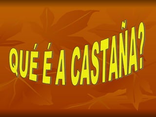 QUÉ É A CASTAÑA? 