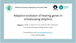 Adaptive evolution of hearing genes in
echolocating dolphins
Magpali, L.1
; Freitas, L.1
; Ramos, E. K. S.1
; de Souza, E. M. S.1
; Nery, M. F1
.
1. University of Campinas / Biology Institute, Brazil
Correspondence email: leticiamagpali@gmail.com
Twitter: @leticiamagpali
I Meeting of Systematics, Biogeography and Evolution (SBE)
 