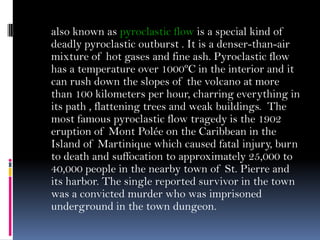 also known as pyroclastic flow is a special kind of
deadly pyroclastic outburst . It is a denser-than-air
mixture of hot gases and fine ash. Pyroclastic flow
has a temperature over 1000ºC in the interior and it
can rush down the slopes of the volcano at more
than 100 kilometers per hour, charring everything in
its path , flattening trees and weak buildings. The
most famous pyroclastic flow tragedy is the 1902
eruption of Mont Polée on the Caribbean in the
Island of Martinique which caused fatal injury, burn
to death and suffocation to approximately 25,000 to
40,000 people in the nearby town of St. Pierre and
its harbor. The single reported survivor in the town
was a convicted murder who was imprisoned
underground in the town dungeon.
 