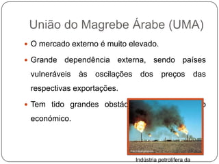 União do Magrebe Árabe (UMA)
 O mercado externo é muito elevado.

 Grande   dependência externa, sendo países
 vulneráveis   às   oscilações     dos      preços          das
 respectivas exportações.

 Tem tido grandes obstáculos ao crescimento

 económico.




                                 Indústria petrolífera da
 