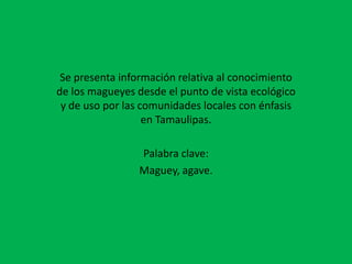 Se presenta información relativa al conocimiento de los magueyes desde el punto de vista ecológico y de uso por las comunidades locales con énfasis en Tamaulipas.Palabra clave:Maguey, agave.
