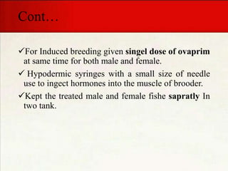 Cont…
For Induced breeding given singel dose of ovaprim
at same time for both male and female.
 Hypodermic syringes with a small size of needle
use to ingect hormones into the muscle of brooder.
Kept the treated male and female fishe sapratly In
two tank.
 