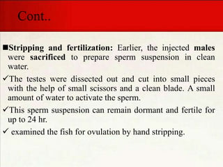 Cont..
Stripping and fertilization: Earlier, the injected males
were sacrificed to prepare sperm suspension in clean
water.
The testes were dissected out and cut into small pieces
with the help of small scissors and a clean blade. A small
amount of water to activate the sperm.
This sperm suspension can remain dormant and fertile for
up to 24 hr.
 examined the fish for ovulation by hand stripping.
 