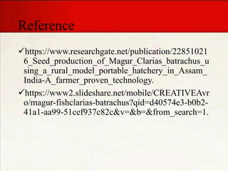 Reference
https://www.researchgate.net/publication/22851021
6_Seed_production_of_Magur_Clarias_batrachus_u
sing_a_rural_model_portable_hatchery_in_Assam_
India-A_farmer_proven_technology.
https://www2.slideshare.net/mobile/CREATIVEAvr
o/magur-fishclarias-batrachus?qid=d40574e3-b0b2-
41a1-aa99-51cef937c82c&v=&b=&from_search=1.
 