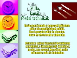 Villa, kanál, főzési technikák Behoztuk a sajátos fűszerezési technikánkat, a darabolást, a fűszerekkel való összefőzést. Az édes, sós, savanyú, keserű ízek mellé mi hoztuk az erős ízt ételeinkben. Európa nem ismerte a magyarok bejövetele  előtt a hús megfőzésének módját. Nem ismerték a villát és a kanalat. Kézzel és késsel ették a sütött húst. 