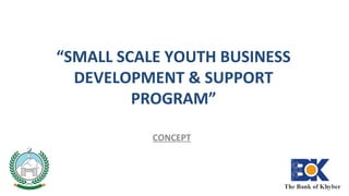 “SMALL SCALE YOUTH BUSINESS
DEVELOPMENT & SUPPORT
PROGRAM”
CONCEPT
1
 