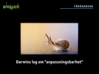F ÖR ÄN D RIN G




Darwins lag om ”anpassningsbarhet”
 