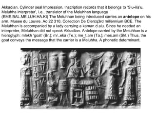 Akkadian. Cylinder seal Impression. Inscription records that it belongs to ‘S’u-ilis’u, Meluhha interpreter’, i.e., translator of the Meluhhan language (EME.BAL.ME.LUH.HA.KI) The Meluhhan being introduced carries an  antelope  on his arm. Musee du Louvre. Ao 22 310, Collection De Clercq3rd millennium BCE. The Meluhhan is accompanied by a lady carrying a kaman.d.alu. Since he needed an interpreter, Meluhhan did not speak Akkadian. Antelope carried by the Meluhhan is a hieroglyph: mlekh ‘goat’ (Br.); mr..eka (Te.); me_t.am (Ta.); mes.am (Skt.) Thus, the goat conveys the message that the carrier is a Meluhha. A phonetic determinant. 