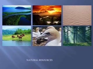 NATURAL RESOURCES
 