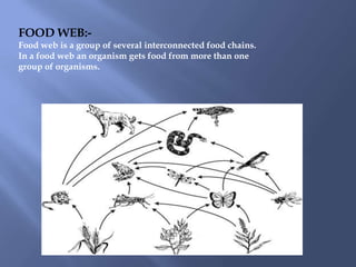 FOOD WEB:-
Food web is a group of several interconnected food chains.
In a food web an organism gets food from more than one
group of organisms.
 