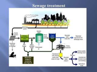 Sewage treatment
 