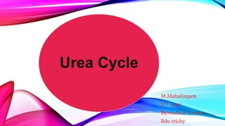 M.Mahalingam
2nd year
Biomedical science
Bdu trichy
Urea Cycle
 