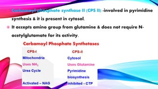  Carbamoyl phosphate synthase II (CPS II) -involved in pyrimidine
synthesis & it is present in cytosol.
 It accepts amino group from glutamine & does not require N-
acetylglutamate for its activity.
Carbamoyl Phosphate Synthetases

 