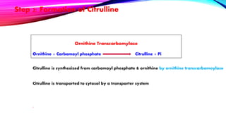 Step 2: Formation of Citrulline
Ornithine Transcarbomylase
Ornithine + Carbamoyl phosphate Citrulline + Pi
Citrulline is synthesized from carbamoyl phosphate & ornithine by ornithine transcarbamoylase
Citrulline is transported to cytosol by a transporter system
.
 