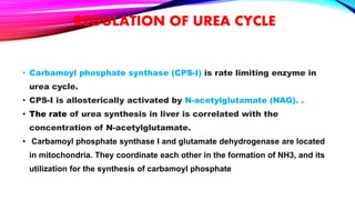 REGULATION OF UREA CYCLE
• Carbamoyl phosphate synthase (CPS-I) is rate limiting enzyme in
urea cycle.
• CPS-I is allosterically activated by N-acetylglutamate (NAG). .
• The rate of urea synthesis in liver is correlated with the
concentration of N-acetylglutamate.
• Carbamoyl phosphate synthase I and glutamate dehydrogenase are located
in mitochondria. They coordinate each other in the formation of NH3, and its
utilization for the synthesis of carbamoyl phosphate
 