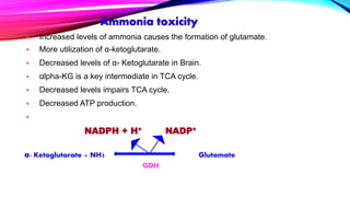  Increased levels of ammonia causes the formation of glutamate.
 More utilization of α-ketoglutarate.
 Decreased levels of α- Ketoglutarate in Brain.
 αlpha-KG is a key intermediate in TCA cycle.
 Decreased levels impairs TCA cycle.
 Decreased ATP production.

NADPH + H+ NADP+
α- Ketoglutarate + NH3 Glutamate
GDH
 