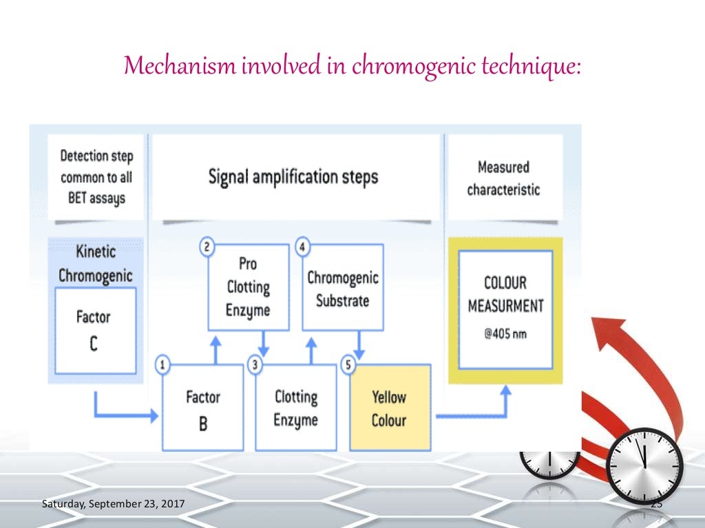 Bacterial Endotoxins test