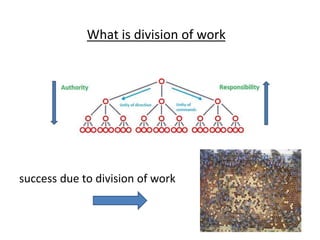What is division of work 
success due to division of work 
 